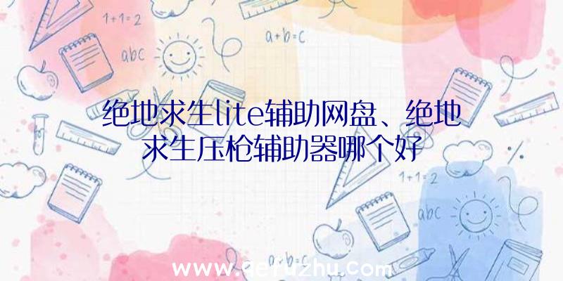 绝地求生lite辅助网盘、绝地求生压枪辅助器哪个好