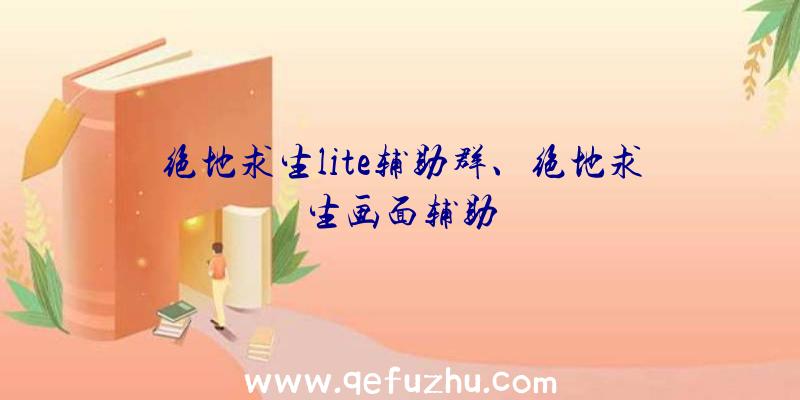 绝地求生lite辅助群、绝地求生画面辅助