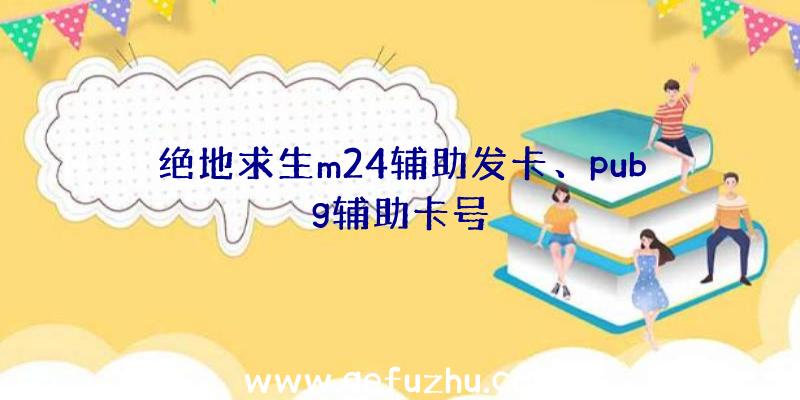 绝地求生m24辅助发卡、pubg辅助卡号