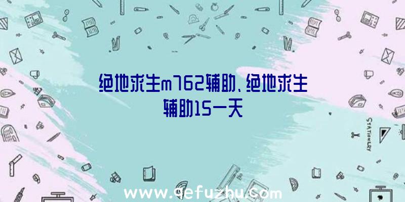 绝地求生m762辅助、绝地求生辅助15一天