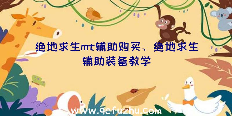 绝地求生mt辅助购买、绝地求生辅助装备教学