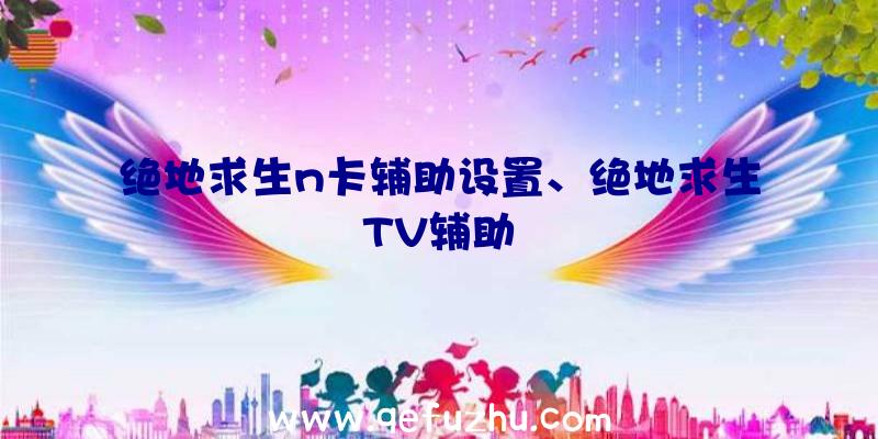 绝地求生n卡辅助设置、绝地求生TV辅助