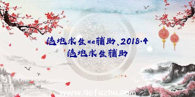 绝地求生na辅助、2018.4绝地求生辅助