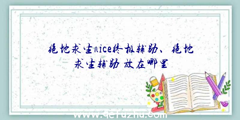 绝地求生nice终极辅助、绝地求生辅助