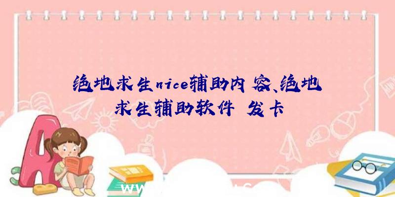 绝地求生nice辅助内容、绝地求生辅助软件