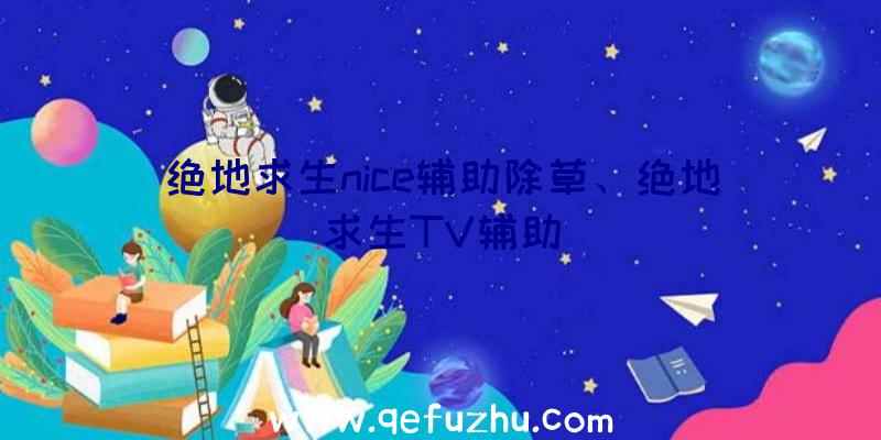 绝地求生nice辅助除草、绝地求生TV辅助