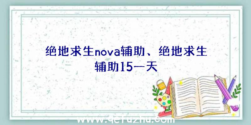 绝地求生nova辅助、绝地求生辅助15一天