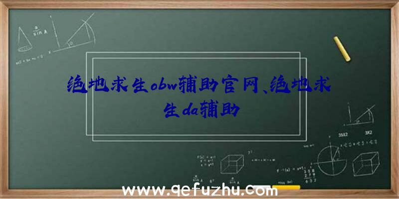 绝地求生obw辅助官网、绝地求生da辅助