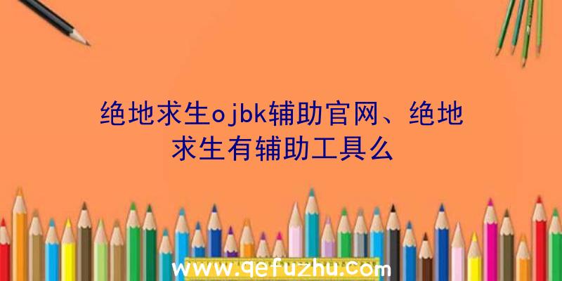 绝地求生ojbk辅助官网、绝地求生有辅助工具么