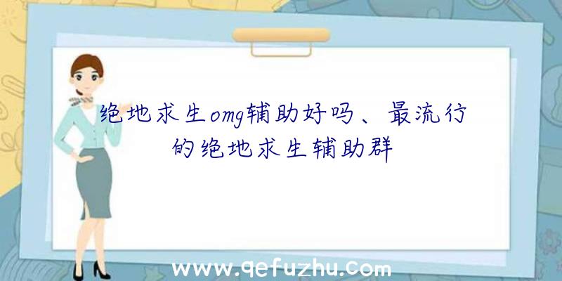 绝地求生omg辅助好吗、最流行的绝地求生辅助群