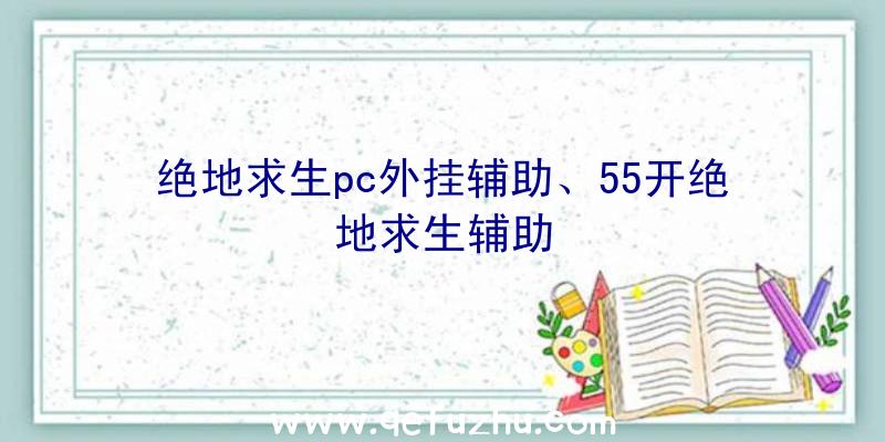 绝地求生pc外挂辅助、55开绝地求生辅助