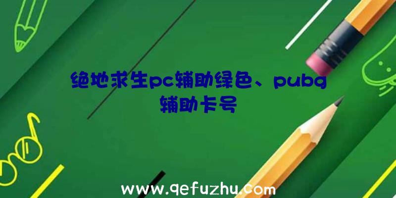 绝地求生pc辅助绿色、pubg辅助卡号