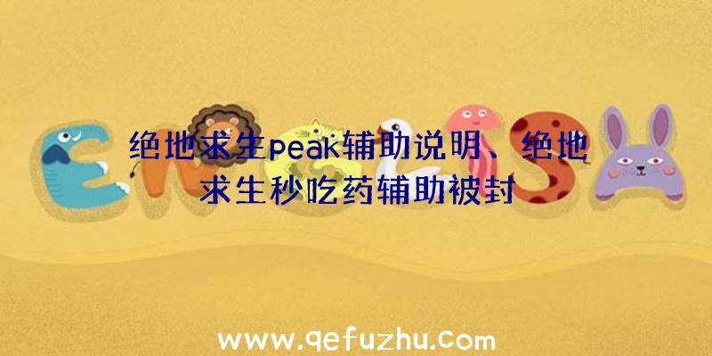 绝地求生peak辅助说明、绝地求生秒吃药辅助被封