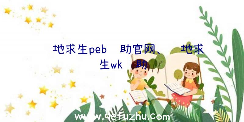 绝地求生peb辅助官网、绝地求生wk辅助