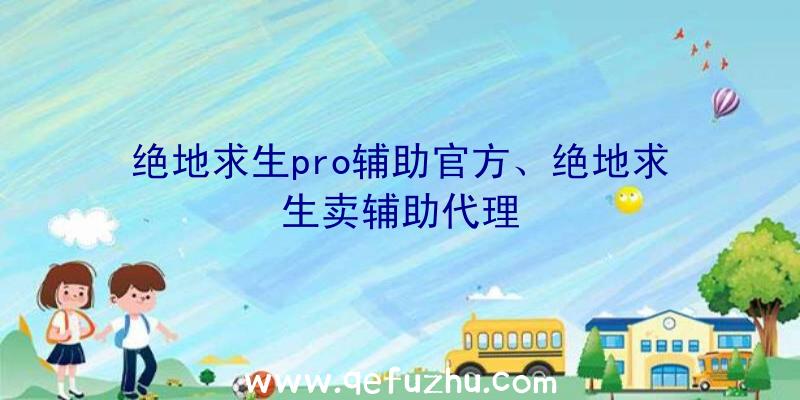 绝地求生pro辅助官方、绝地求生卖辅助代理