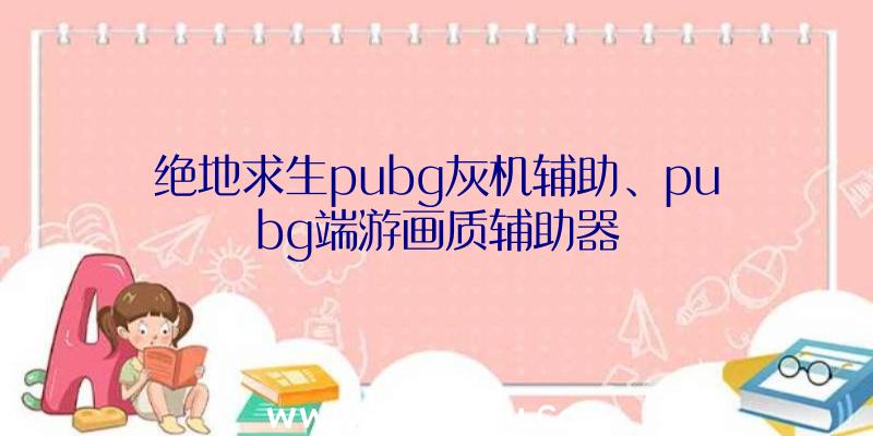 绝地求生pubg灰机辅助、pubg端游画质辅助器