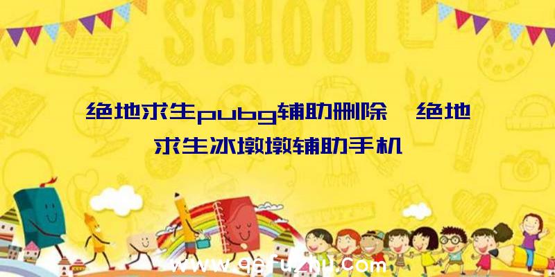 绝地求生pubg辅助删除、绝地求生冰墩墩辅助手机