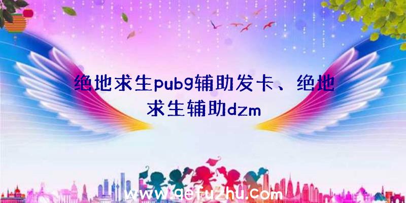 绝地求生pubg辅助发卡、绝地求生辅助dzm