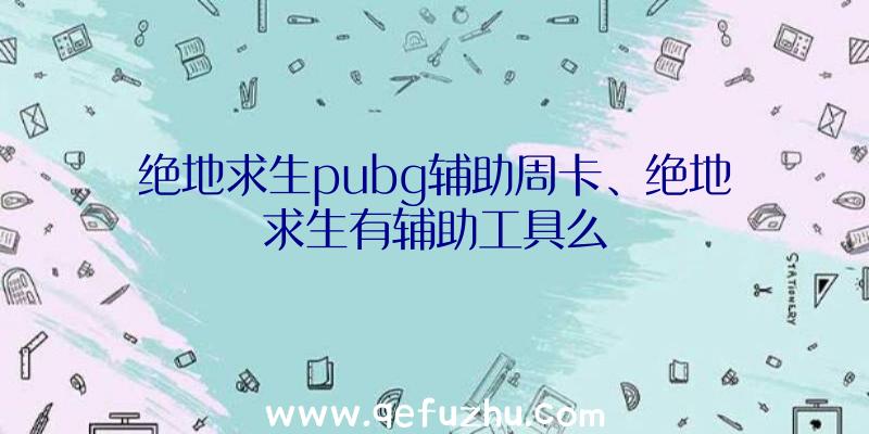 绝地求生pubg辅助周卡、绝地求生有辅助工具么