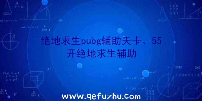 绝地求生pubg辅助天卡、55开绝地求生辅助