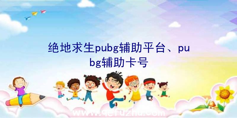 绝地求生pubg辅助平台、pubg辅助卡号