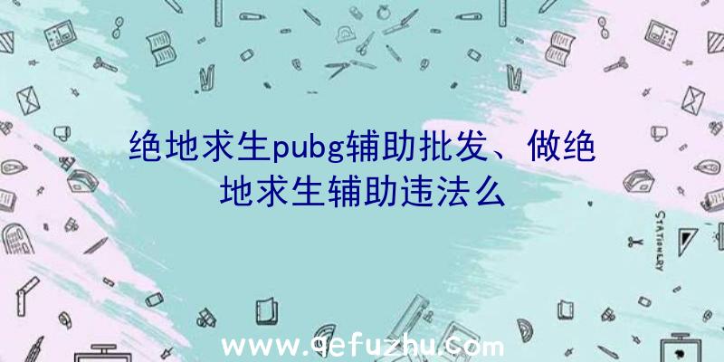 绝地求生pubg辅助批发、做绝地求生辅助违法么