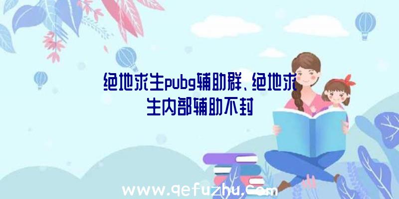 绝地求生pubg辅助群、绝地求生内部辅助不封