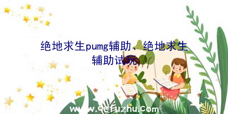 绝地求生pumg辅助、绝地求生辅助试玩