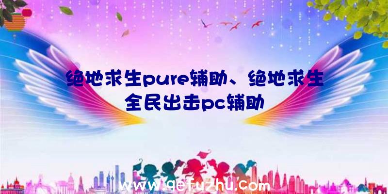 绝地求生pure辅助、绝地求生全民出击pc辅助