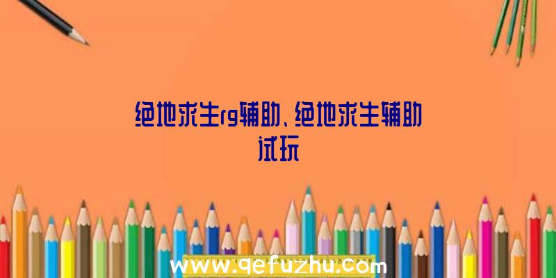 绝地求生rg辅助、绝地求生辅助试玩