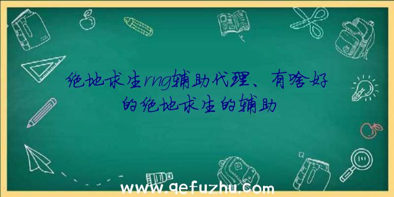 绝地求生rng辅助代理、有啥好的绝地求生的辅助