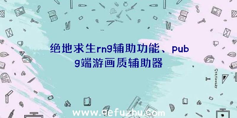 绝地求生rng辅助功能、pubg端游画质辅助器