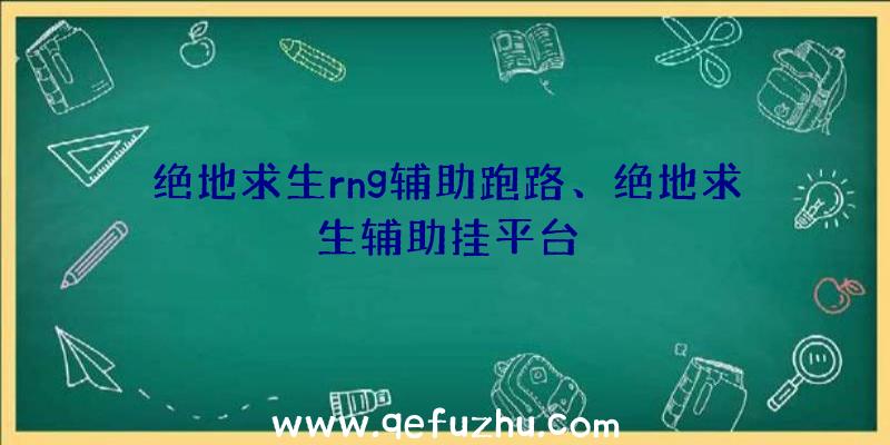 绝地求生rng辅助跑路、绝地求生辅助挂平台