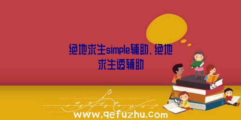 绝地求生simple辅助、绝地求生透辅助