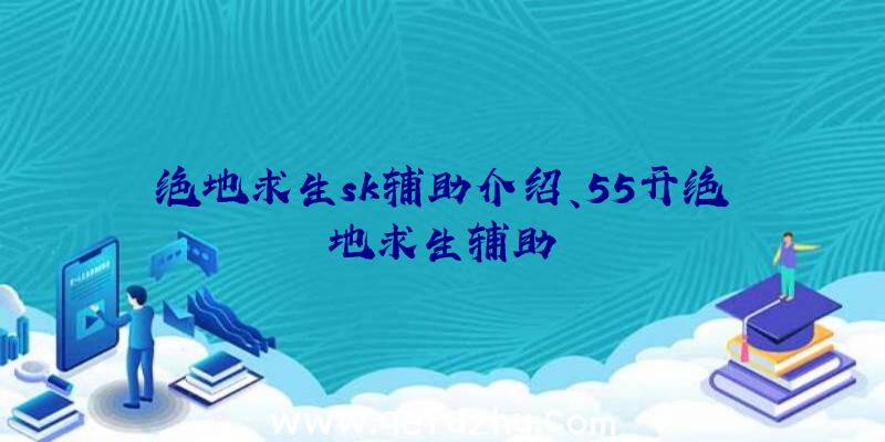 绝地求生sk辅助介绍、55开绝地求生辅助