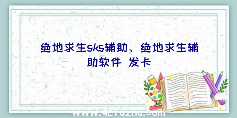 绝地求生sks辅助、绝地求生辅助软件