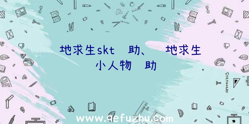 绝地求生skt辅助、绝地求生缩小人物辅助