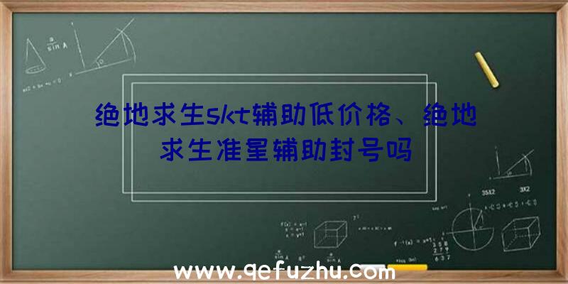 绝地求生skt辅助低价格、绝地求生准星辅助封号吗