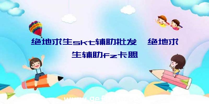 绝地求生skt辅助批发、绝地求生辅助fz卡盟