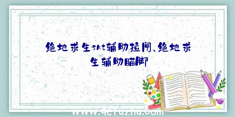 绝地求生skt辅助拉闸、绝地求生辅助瞄脚