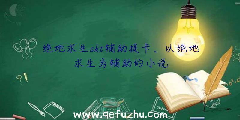 绝地求生skt辅助提卡、以绝地求生为辅助的小说