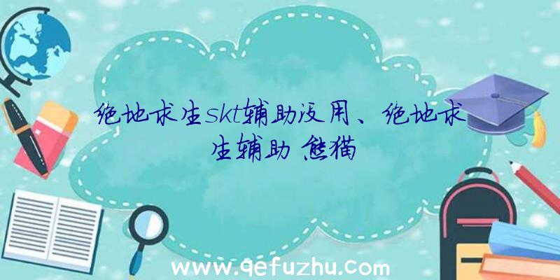 绝地求生skt辅助没用、绝地求生辅助