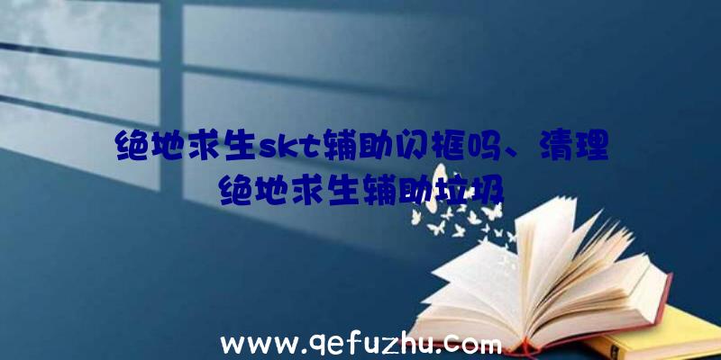 绝地求生skt辅助闪框吗、清理绝地求生辅助垃圾