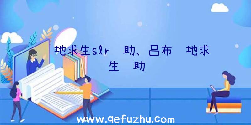 绝地求生slr辅助、吕布绝地求生辅助