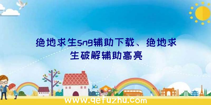 绝地求生sng辅助下载、绝地求生破解辅助高亮