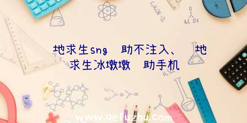 绝地求生sng辅助不注入、绝地求生冰墩墩辅助手机