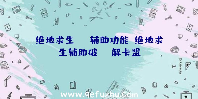 绝地求生sng辅助功能、绝地求生辅助破解卡盟