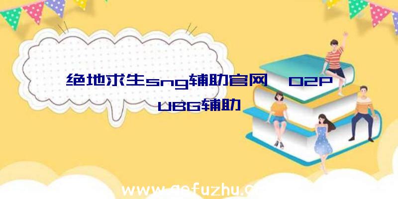 绝地求生sng辅助官网、02PUBG辅助