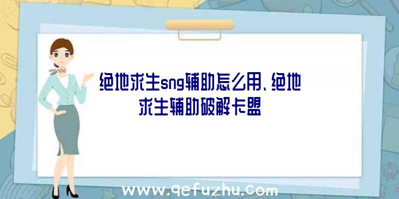 绝地求生sng辅助怎么用、绝地求生辅助破解卡盟