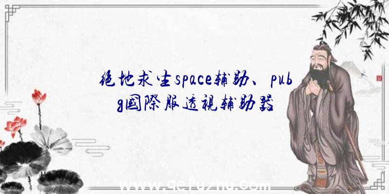 绝地求生space辅助、pubg国际服透视辅助器